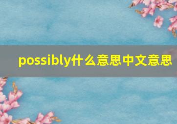 possibly什么意思中文意思