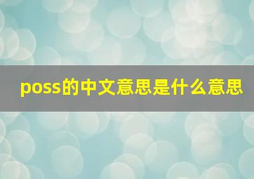 poss的中文意思是什么意思