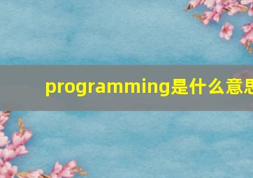 programming是什么意思