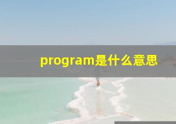 program是什么意思