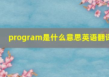 program是什么意思英语翻译