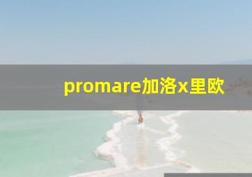 promare加洛x里欧