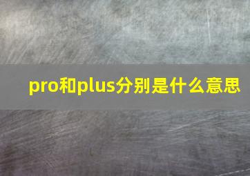 pro和plus分别是什么意思