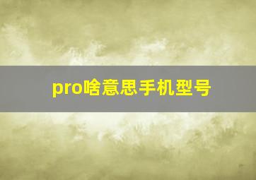 pro啥意思手机型号