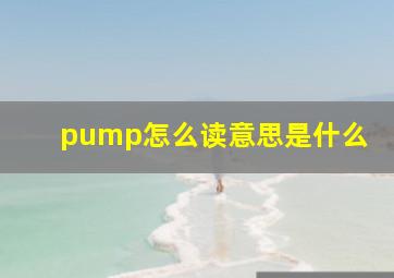 pump怎么读意思是什么