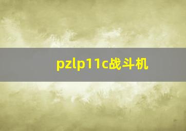 pzlp11c战斗机