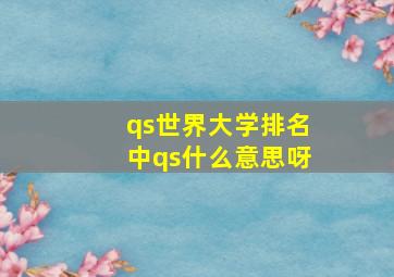 qs世界大学排名中qs什么意思呀