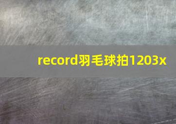 record羽毛球拍1203x