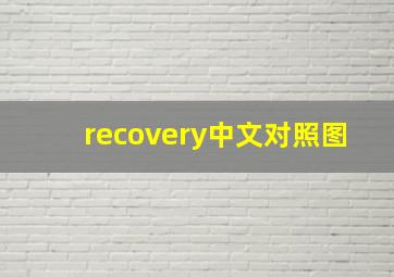 recovery中文对照图