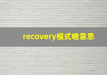 recovery模式啥意思