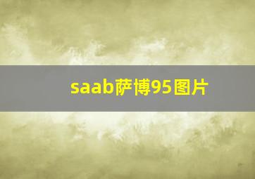 saab萨博95图片