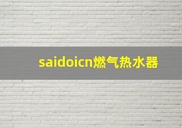 saidoicn燃气热水器