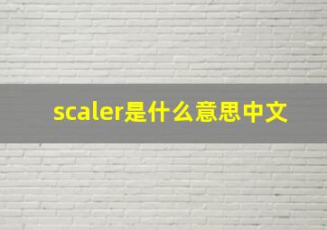 scaler是什么意思中文