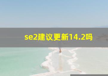 se2建议更新14.2吗