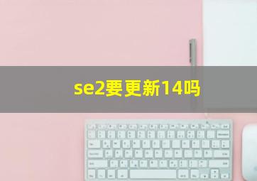 se2要更新14吗