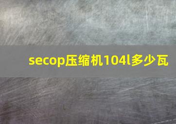 secop压缩机104l多少瓦