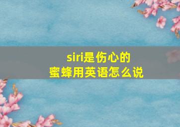 siri是伤心的蜜蜂用英语怎么说