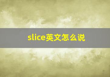 slice英文怎么说