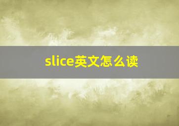 slice英文怎么读