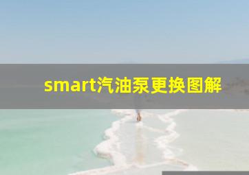 smart汽油泵更换图解