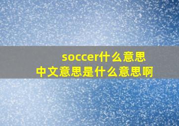 soccer什么意思中文意思是什么意思啊