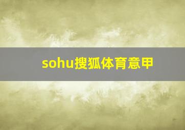 sohu搜狐体育意甲