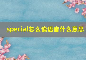 special怎么读语音什么意思