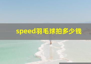 speed羽毛球拍多少钱