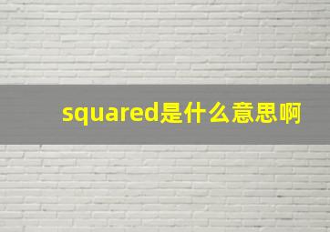 squared是什么意思啊