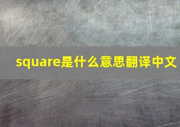 square是什么意思翻译中文