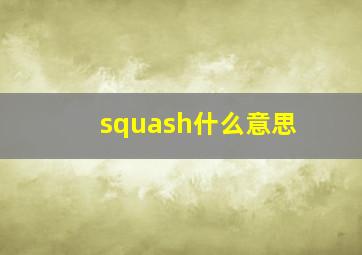 squash什么意思