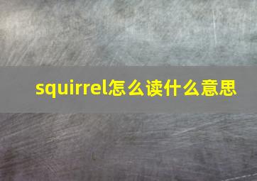 squirrel怎么读什么意思