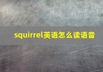 squirrel英语怎么读语音