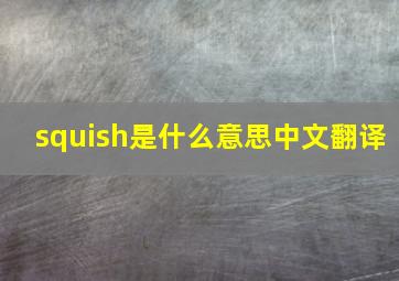 squish是什么意思中文翻译