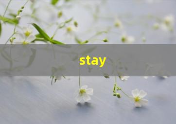 stay