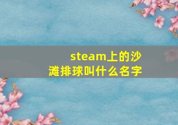 steam上的沙滩排球叫什么名字