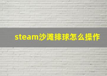 steam沙滩排球怎么操作