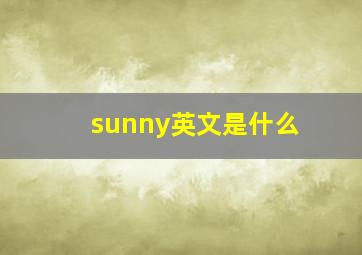 sunny英文是什么