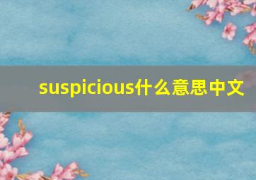 suspicious什么意思中文