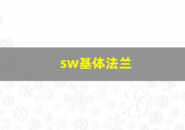 sw基体法兰