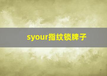 syour指纹锁牌子