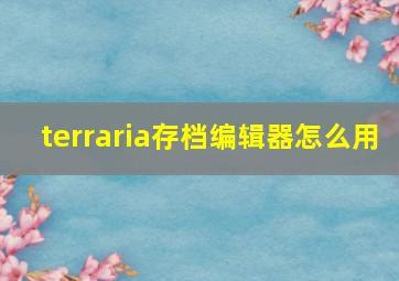 terraria存档编辑器怎么用