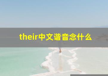 their中文谐音念什么