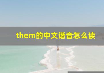 them的中文谐音怎么读