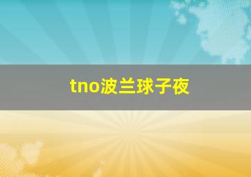 tno波兰球子夜