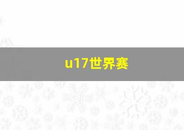 u17世界赛