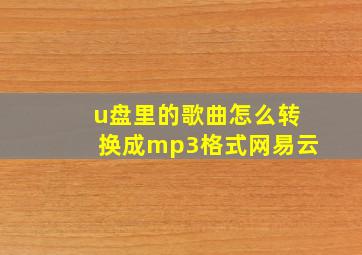 u盘里的歌曲怎么转换成mp3格式网易云