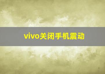 vivo关闭手机震动