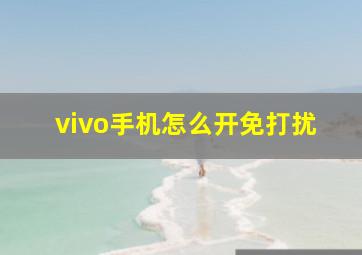 vivo手机怎么开免打扰