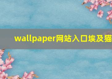 wallpaper网站入口埃及猫